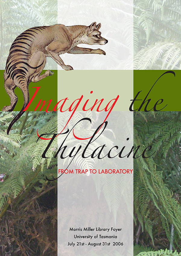 imaging the thylacine